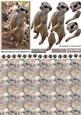 Meerkat 3D Decoupage with Background