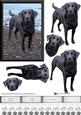 cup422980_15 - Black Labrador Beach Scene 3D Decoupage