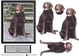 Chocalate Labrador Scene 3D Decoupage