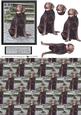 Chocolate Labrador Scene 3D Decoupage & Background