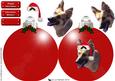 German Shepherd 2 Christmas Bauble