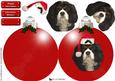 Cavalier King Charles Spaniel Christmas Bauble