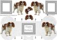 Cavalier Spaniel 3D Decoupage Bone Shaped Card