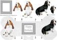 Basset Hound 3D Decoupage Bone Shaped Card