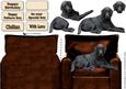 Black Labrador Arm Chair Card