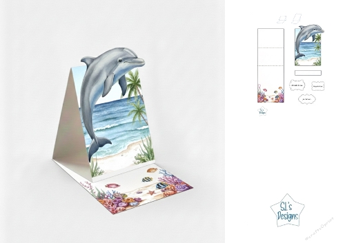 Ocean Dolphin Box Card with Underwater Scene
