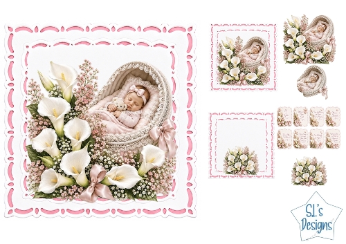 Sleeping Baby Girl in Pink Bassinet Floral Card Front & Sentiment Toppers