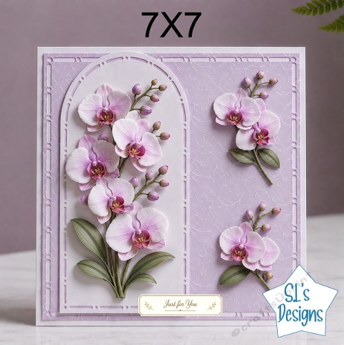 cup1448791_135813 - Elegant 7x7 Pink & White Orchid Card Front – Just for You Design