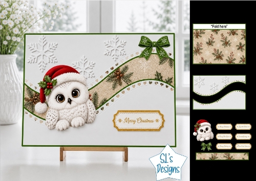 Cute Merry Christmas Owl Card Topper with Wavy Borders & Holiday Labels