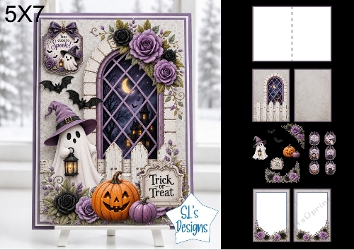 Cute Halloween Ghost 5x7 Card Kit with Gothic Window and Trick or Treat Sentiment