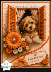 Orange Window Puppy Just For You Card Topper