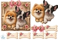Cute Puppies Card Topper – Pomeranian & French Bulldog with Birthday & Love Tags 2