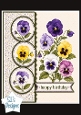 Pansy Birthday Card Front – Elegant Multicolor Floral Happy Birthday Topper