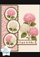 Pink Hydrangea Birthday Card Front – Elegant Floral Happy Birthday Topper