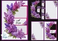 Lilac Orchid Frame & Sentiment Panels – Just For You Card Topper