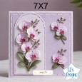 Elegant 7x7 Pink & White Orchid Card Front – Just for You Design