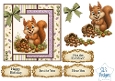 Cute Squirrel & Hazelnuts Card Kit with Decoupage, Autumn Papers, Bow & Sentiments