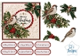 Christmas Sparrow with Holly Berries and Evergreen Foliage Card Kit