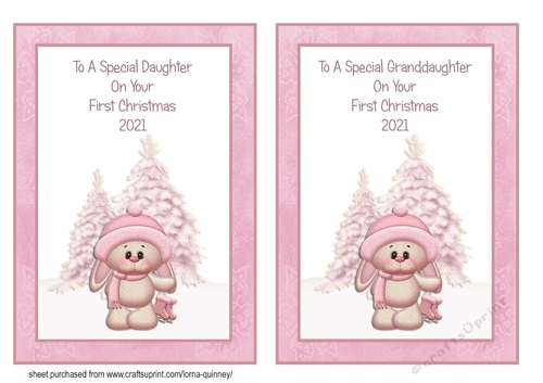 Daughter & Granddaughter First Christmas 2021