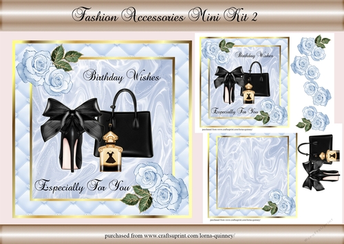 Fashion Accessories Mini Kit 2