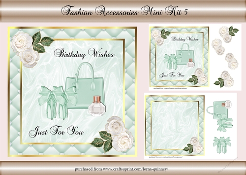 Fashion Accessories Mini Kit 5