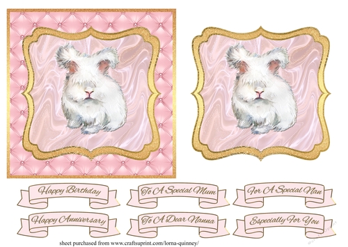 Birthday Bunny Card Front 1