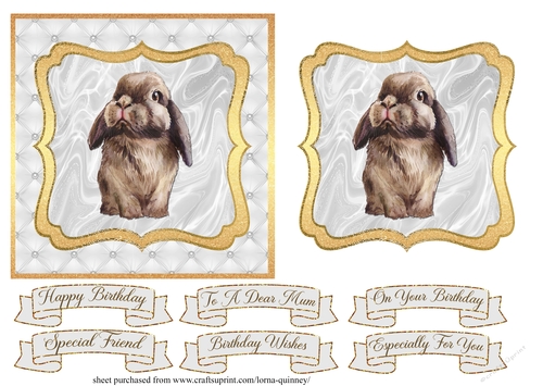 Birthday Bunny Card Front 3