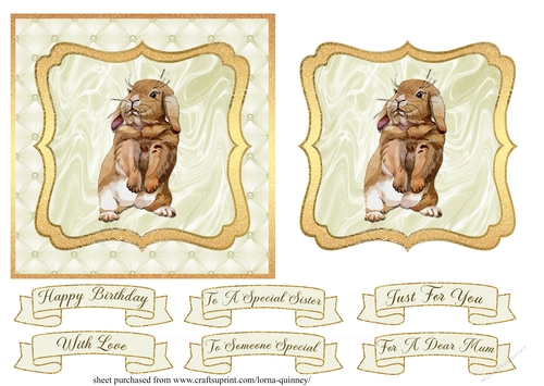 Birthday Bunny Card Front 4