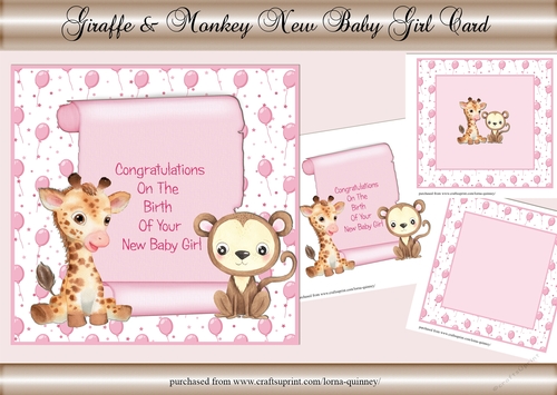 Giraffe & Monkey New Baby Girl Card Mini Kit