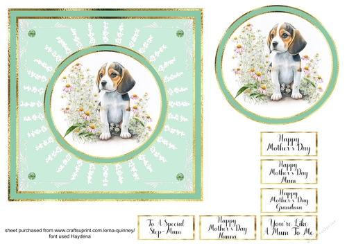 Beagle Mothers Day Card