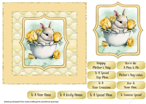 Bunny In Teacup Mothers Day Card 2