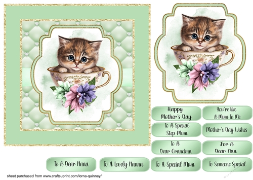 Kitten In Teacup Mothers Day Card 2
