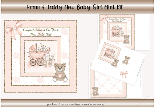 Pram & Teddy New Baby Girl Mini Kit
