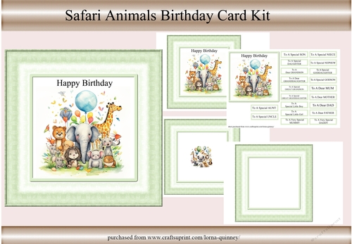Safari Animals Birthday Card Kit 