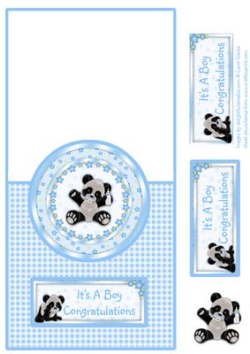 Baby Boy Panda - Over the Edge