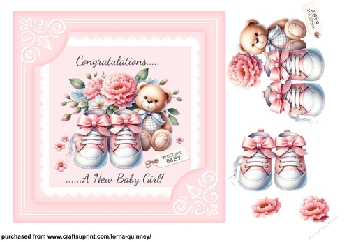 Baby Girl Shoes 1