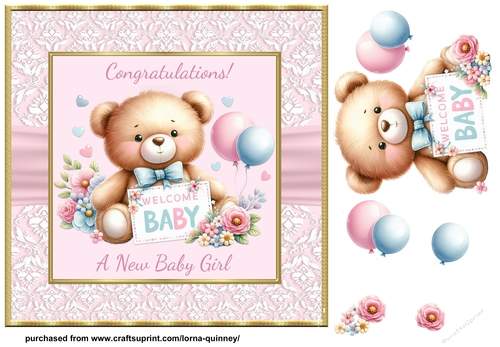 Baby Girl Teddy