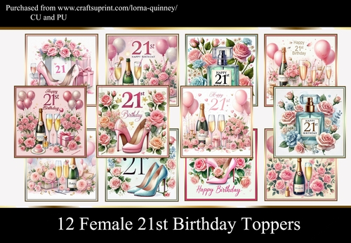 12 Female 21st Birthday Toppers