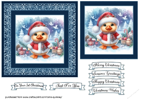 Cute Duck Christmas Card Front
