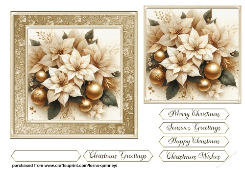 White Poinsettias Card Front