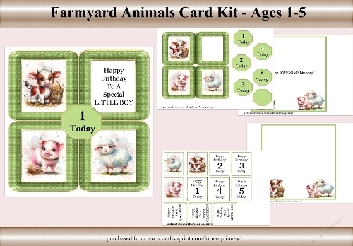 Farmyard Animals Birthday Card Kit Ages 1-5