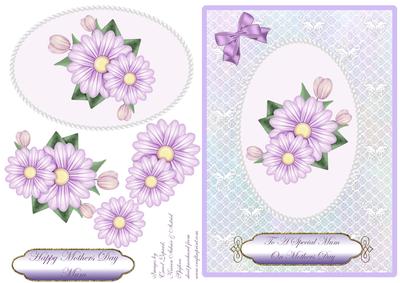 Lilac Daisies - Mothers Day
