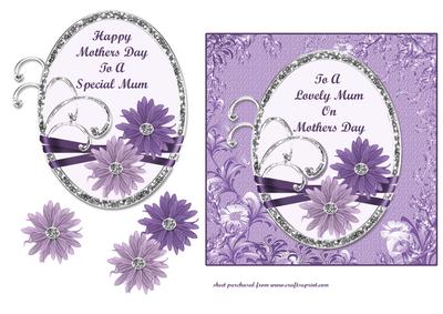 Purple & Lilac Daisies - Mothers Day