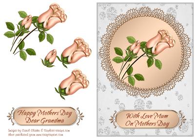 Peach Roses - Mothers Day