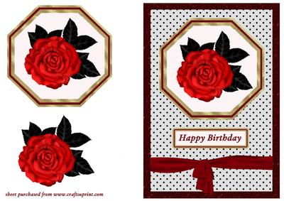 Red Rose on Polka Dots - Birthday