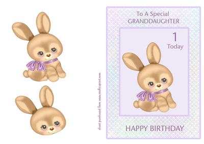 Birthday Bunny - Granddaughter 1 Today