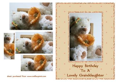 Teddy Bear & Poppy - Granddaughter Birthday