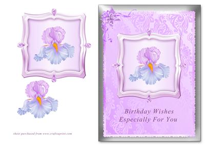 Lilac Iris - Especially for You