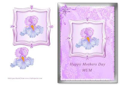 Lilac Iris - Mothers Day