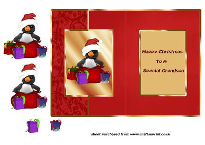 Special Grandson Penguin Fold Back